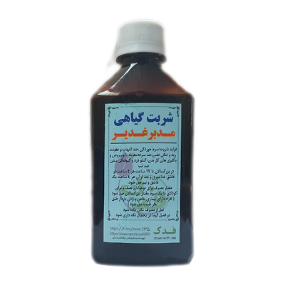 مدبر غدیر